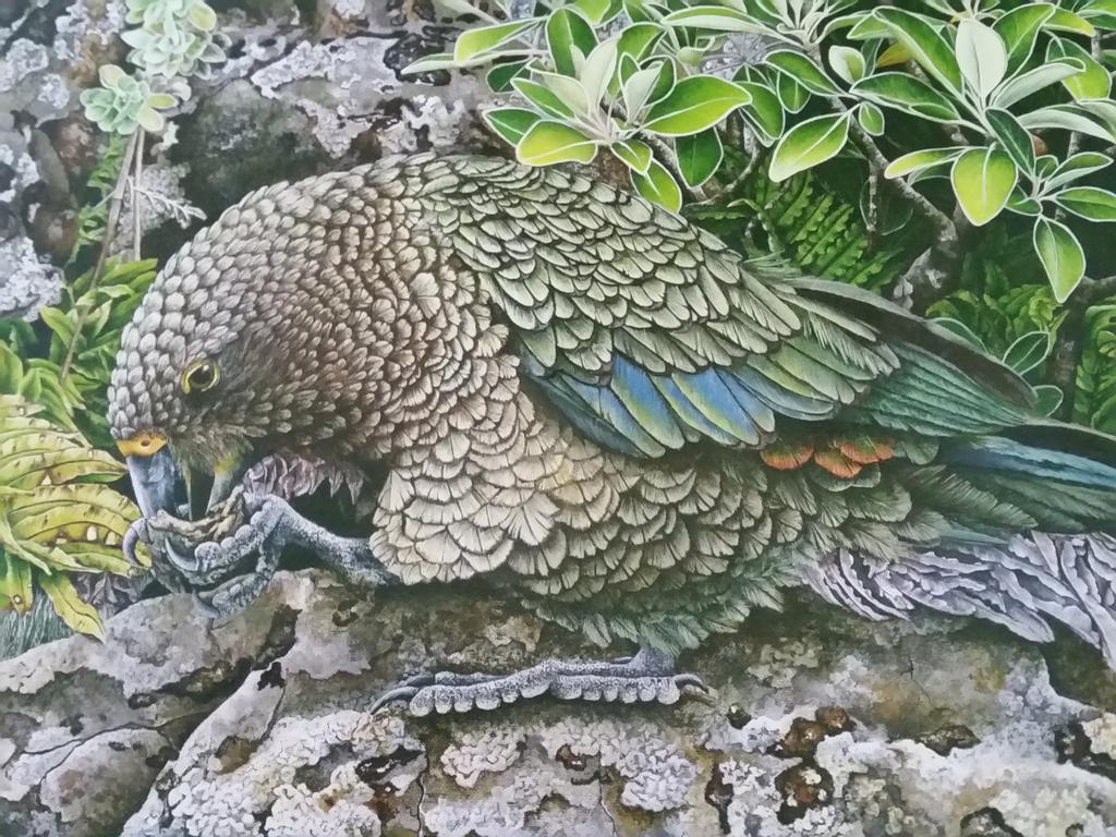 Kea Cottage Te Anau Εξωτερικό φωτογραφία